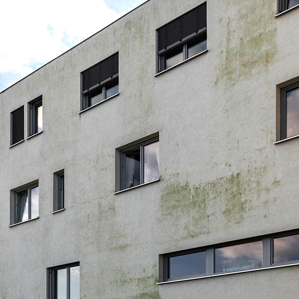 Fassade vor der Reinigung