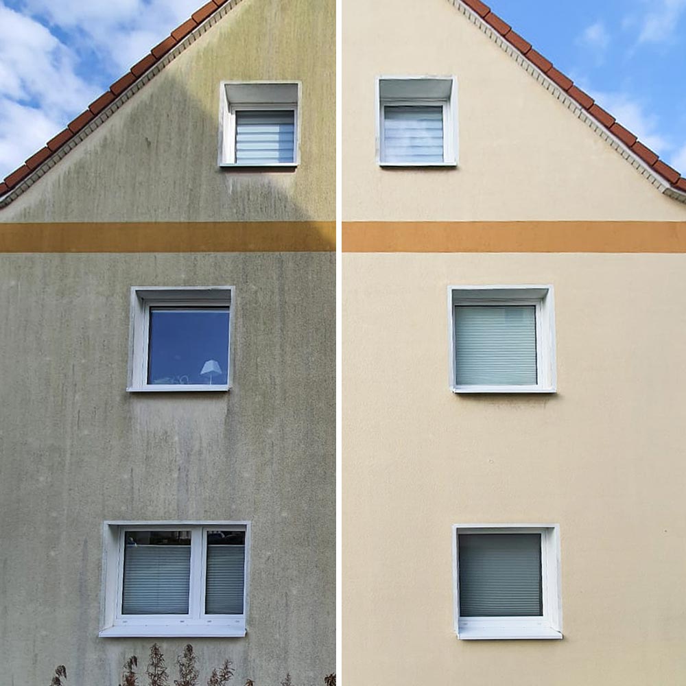Algenmax Fassadenreinigung Bild 1