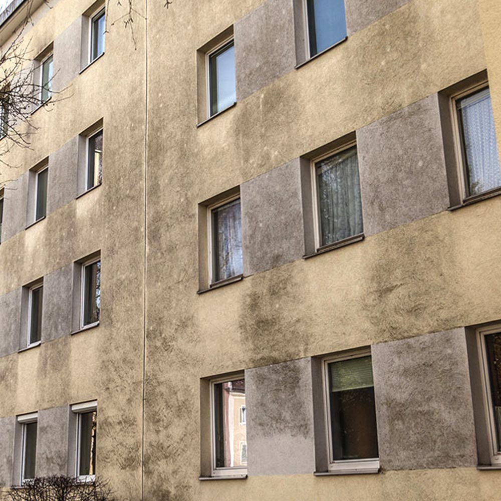 Mehrfamilienhaus Reinigung