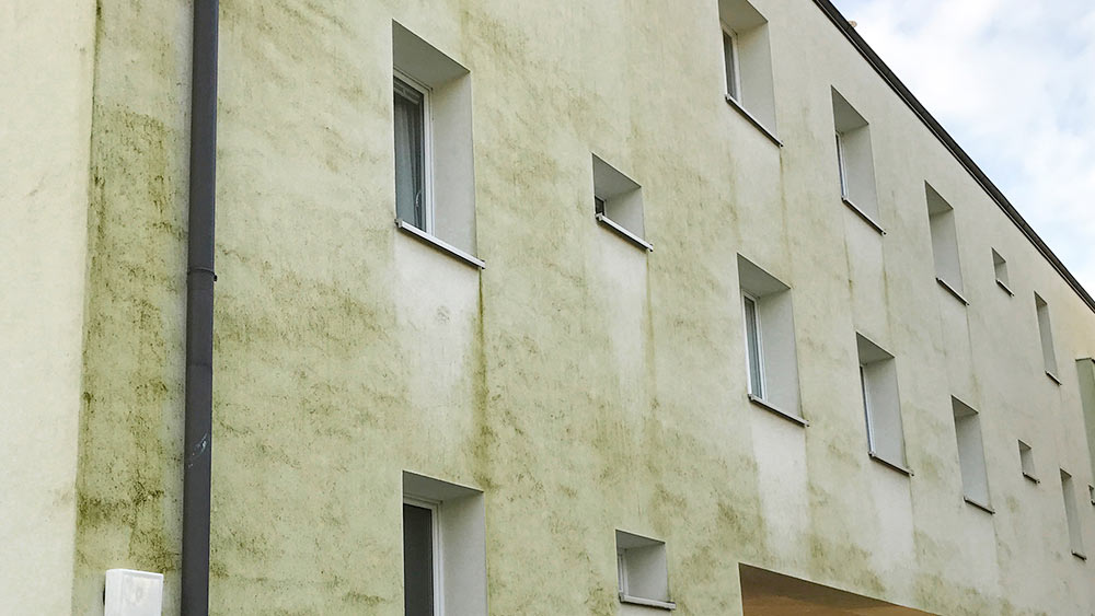 Fassadenreinigung vorher