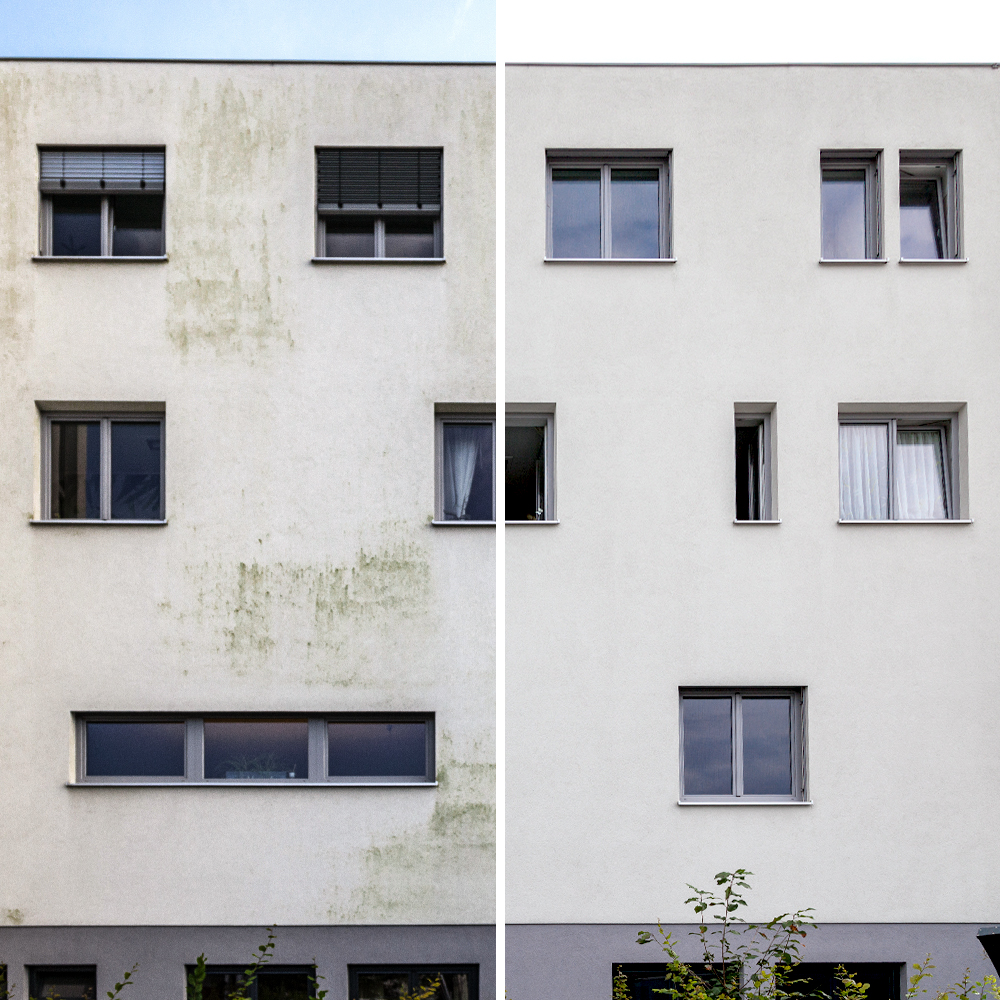 Algenmax Fassadenreinigung - Gewerbeobjekt